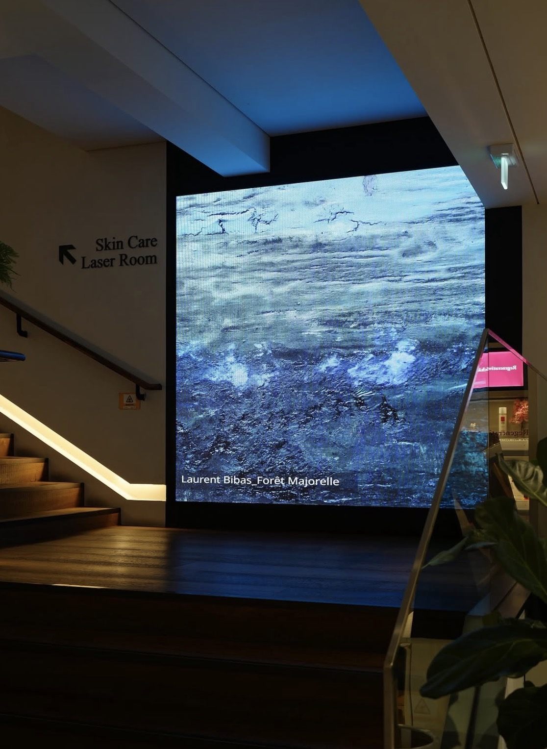Exposition Séoul — Laurent Bibas, artiste peintre