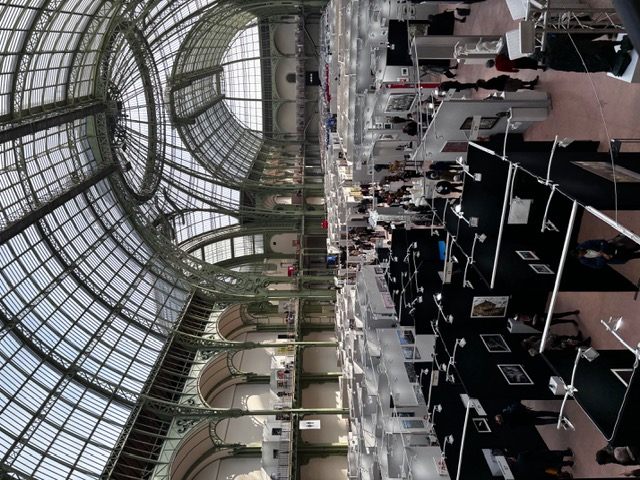 Grand Palais, Art Capital — Laurent Bibas, artiste peintre